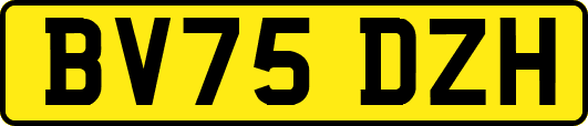 BV75DZH
