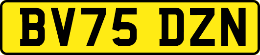 BV75DZN