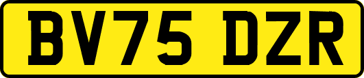 BV75DZR
