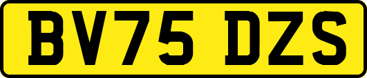 BV75DZS