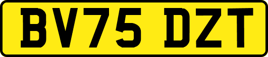 BV75DZT