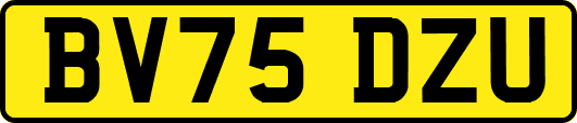BV75DZU