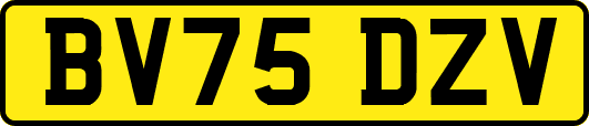BV75DZV