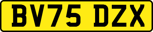 BV75DZX