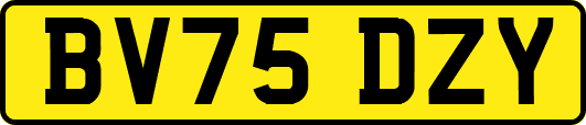 BV75DZY