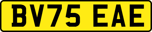 BV75EAE