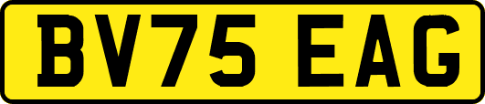 BV75EAG