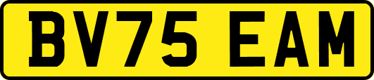 BV75EAM