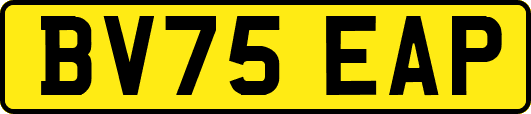 BV75EAP