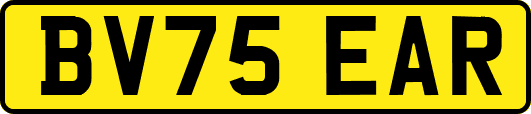 BV75EAR