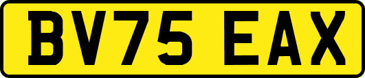 BV75EAX