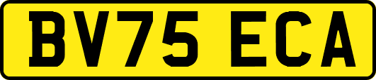 BV75ECA