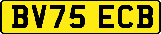 BV75ECB