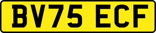 BV75ECF