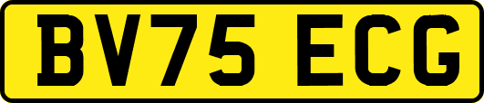 BV75ECG