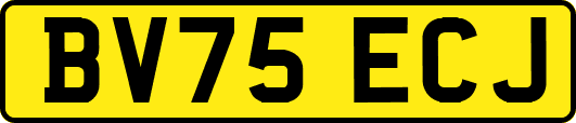 BV75ECJ