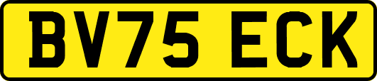 BV75ECK