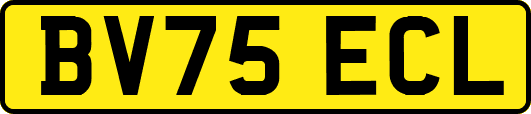 BV75ECL