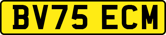 BV75ECM