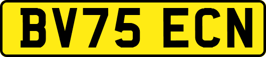 BV75ECN
