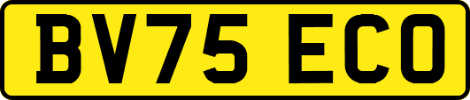 BV75ECO