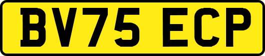 BV75ECP