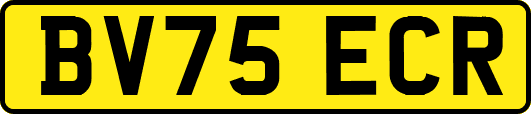 BV75ECR