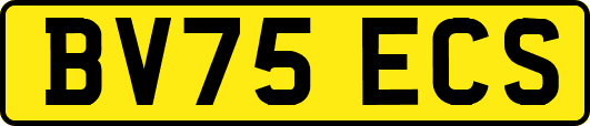 BV75ECS