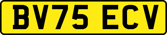 BV75ECV