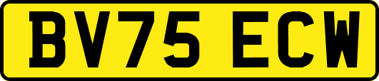 BV75ECW