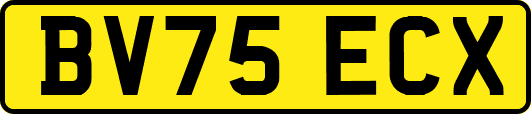 BV75ECX