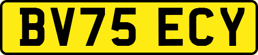 BV75ECY