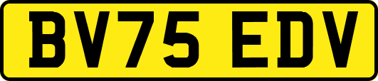 BV75EDV