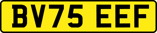 BV75EEF