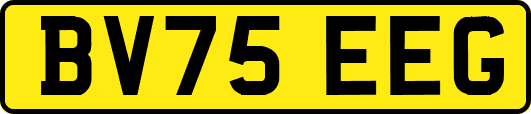 BV75EEG