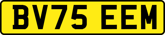 BV75EEM
