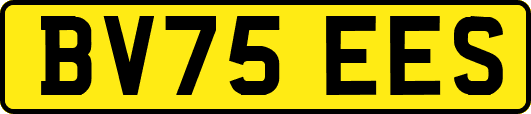 BV75EES