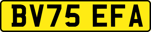BV75EFA