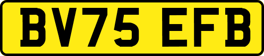 BV75EFB