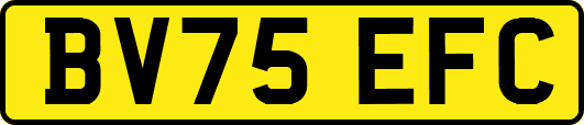 BV75EFC