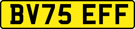 BV75EFF