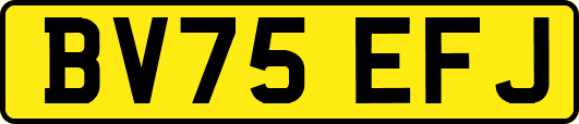 BV75EFJ