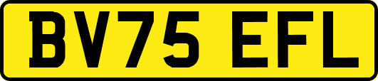 BV75EFL