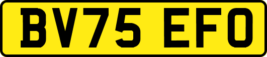 BV75EFO