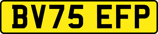 BV75EFP