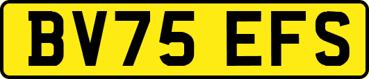 BV75EFS
