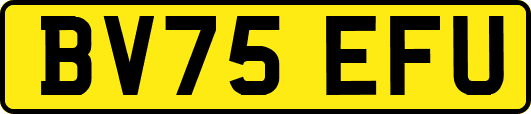 BV75EFU