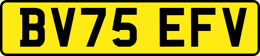 BV75EFV