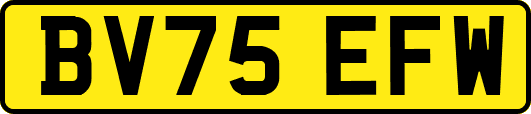 BV75EFW