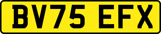 BV75EFX